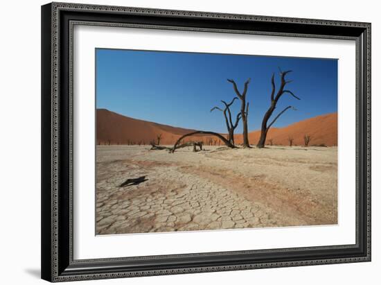 The Dead Acacia Trees of Deadvlei at Sunrise-Alex Saberi-Framed Photographic Print