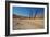 The Dead Acacia Trees of Deadvlei at Sunrise-Alex Saberi-Framed Photographic Print