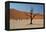 The Dead Acacia Trees of Deadvlei at Sunrise-Alex Saberi-Framed Premier Image Canvas