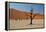 The Dead Acacia Trees of Deadvlei at Sunrise-Alex Saberi-Framed Premier Image Canvas