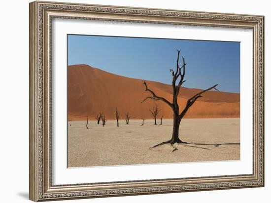 The Dead Acacia Trees of Deadvlei at Sunrise-Alex Saberi-Framed Photographic Print