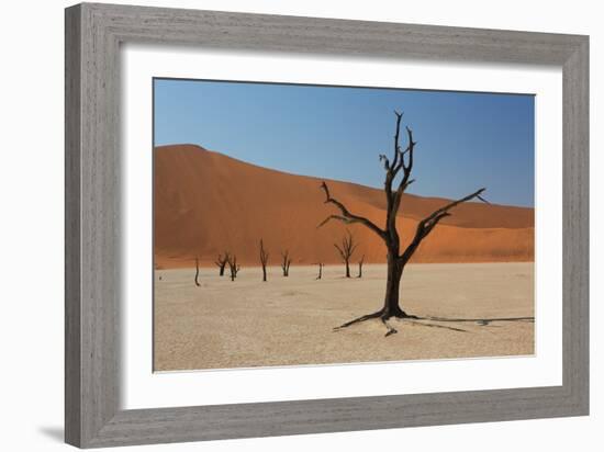 The Dead Acacia Trees of Deadvlei at Sunrise-Alex Saberi-Framed Photographic Print