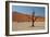 The Dead Acacia Trees of Deadvlei at Sunrise-Alex Saberi-Framed Photographic Print