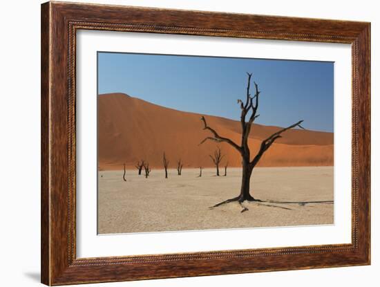 The Dead Acacia Trees of Deadvlei at Sunrise-Alex Saberi-Framed Photographic Print