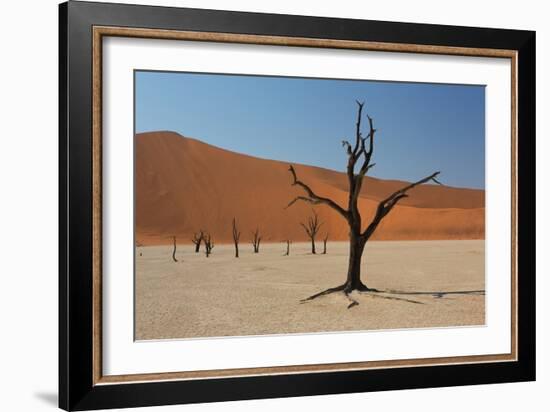 The Dead Acacia Trees of Deadvlei at Sunrise-Alex Saberi-Framed Photographic Print