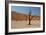 The Dead Acacia Trees of Deadvlei at Sunrise-Alex Saberi-Framed Photographic Print