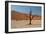 The Dead Acacia Trees of Deadvlei at Sunrise-Alex Saberi-Framed Photographic Print