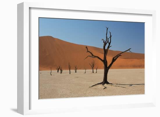 The Dead Acacia Trees of Deadvlei at Sunrise-Alex Saberi-Framed Photographic Print