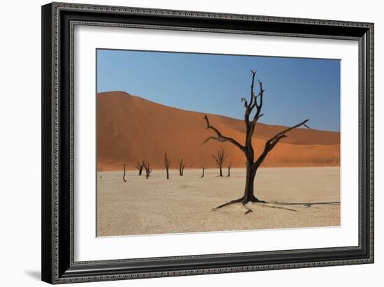 The Dead Acacia Trees of Deadvlei at Sunrise-Alex Saberi-Framed Photographic Print