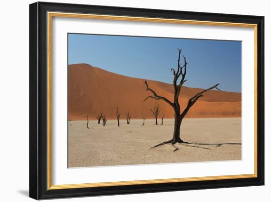 The Dead Acacia Trees of Deadvlei at Sunrise-Alex Saberi-Framed Photographic Print