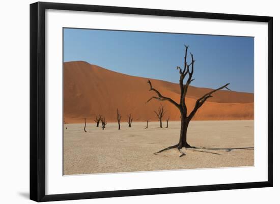 The Dead Acacia Trees of Deadvlei at Sunrise-Alex Saberi-Framed Photographic Print