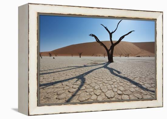 The Dead Acacia Trees of Deadvlei at Sunrise-Alex Saberi-Framed Premier Image Canvas