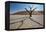 The Dead Acacia Trees of Deadvlei at Sunrise-Alex Saberi-Framed Premier Image Canvas