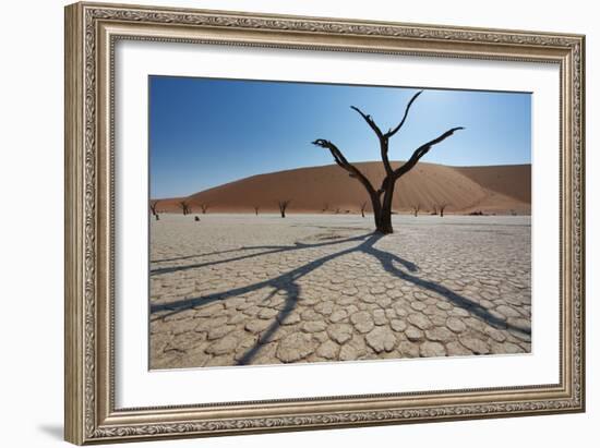 The Dead Acacia Trees of Deadvlei at Sunrise-Alex Saberi-Framed Photographic Print