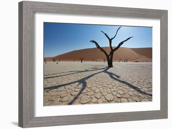 The Dead Acacia Trees of Deadvlei at Sunrise-Alex Saberi-Framed Photographic Print