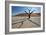 The Dead Acacia Trees of Deadvlei at Sunrise-Alex Saberi-Framed Photographic Print