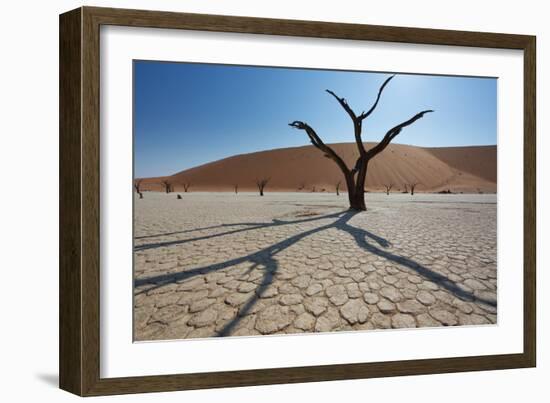 The Dead Acacia Trees of Deadvlei at Sunrise-Alex Saberi-Framed Photographic Print