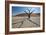 The Dead Acacia Trees of Deadvlei at Sunrise-Alex Saberi-Framed Photographic Print