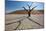 The Dead Acacia Trees of Deadvlei at Sunrise-Alex Saberi-Mounted Photographic Print