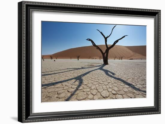 The Dead Acacia Trees of Deadvlei at Sunrise-Alex Saberi-Framed Photographic Print