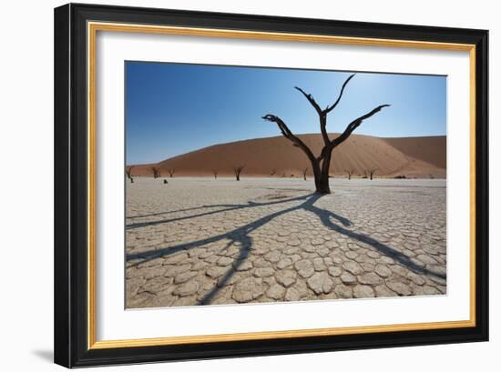 The Dead Acacia Trees of Deadvlei at Sunrise-Alex Saberi-Framed Photographic Print