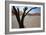 The Dead Acacia Trees of Deadvlei at Sunrise-Alex Saberi-Framed Photographic Print