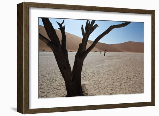 The Dead Acacia Trees of Deadvlei at Sunrise-Alex Saberi-Framed Photographic Print