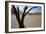 The Dead Acacia Trees of Deadvlei at Sunrise-Alex Saberi-Framed Photographic Print