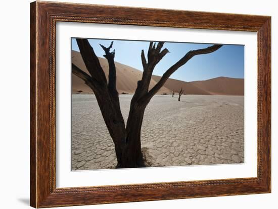 The Dead Acacia Trees of Deadvlei at Sunrise-Alex Saberi-Framed Photographic Print