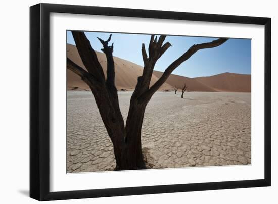 The Dead Acacia Trees of Deadvlei at Sunrise-Alex Saberi-Framed Photographic Print