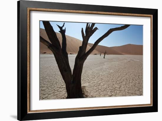 The Dead Acacia Trees of Deadvlei at Sunrise-Alex Saberi-Framed Photographic Print