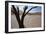 The Dead Acacia Trees of Deadvlei at Sunrise-Alex Saberi-Framed Photographic Print