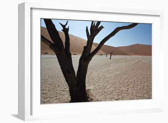 The Dead Acacia Trees of Deadvlei at Sunrise-Alex Saberi-Framed Photographic Print