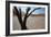 The Dead Acacia Trees of Deadvlei at Sunrise-Alex Saberi-Framed Photographic Print