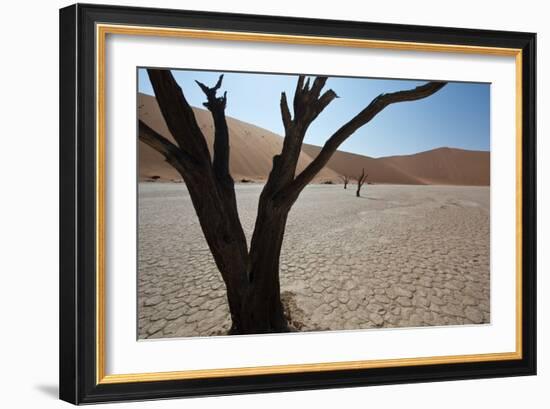 The Dead Acacia Trees of Deadvlei at Sunrise-Alex Saberi-Framed Photographic Print