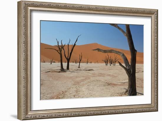 The Dead Acacia Trees of Deadvlei at Sunrise-Alex Saberi-Framed Photographic Print