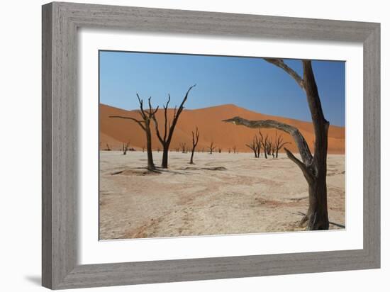 The Dead Acacia Trees of Deadvlei at Sunrise-Alex Saberi-Framed Photographic Print