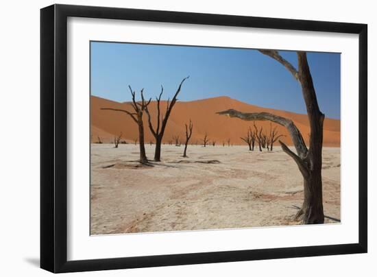 The Dead Acacia Trees of Deadvlei at Sunrise-Alex Saberi-Framed Photographic Print