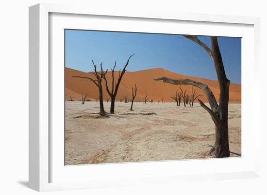 The Dead Acacia Trees of Deadvlei at Sunrise-Alex Saberi-Framed Photographic Print