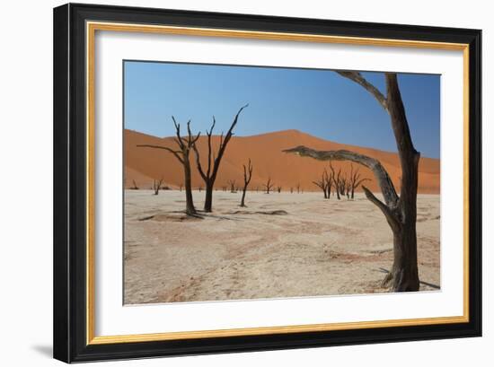 The Dead Acacia Trees of Deadvlei at Sunrise-Alex Saberi-Framed Photographic Print