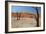 The Dead Acacia Trees of Deadvlei at Sunrise-Alex Saberi-Framed Photographic Print