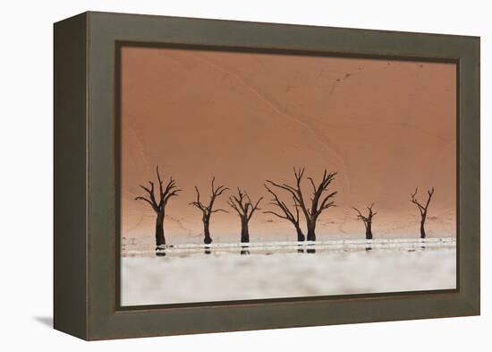 The Dead Acacia Trees of Deadvlei with a Heat Reflection-Alex Saberi-Framed Premier Image Canvas