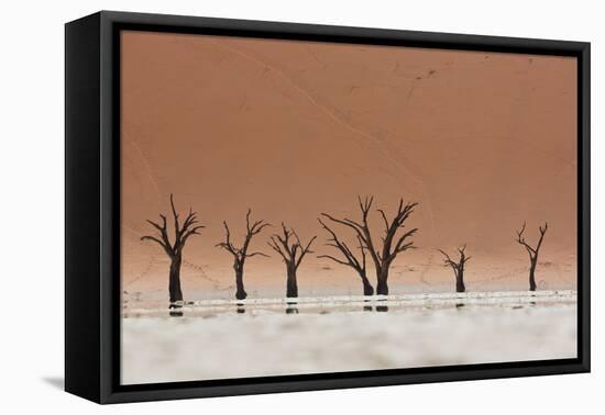 The Dead Acacia Trees of Deadvlei with a Heat Reflection-Alex Saberi-Framed Premier Image Canvas