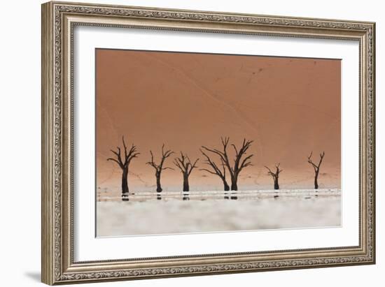 The Dead Acacia Trees of Deadvlei with a Heat Reflection-Alex Saberi-Framed Photographic Print