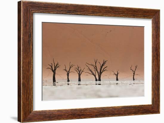 The Dead Acacia Trees of Deadvlei with a Heat Reflection-Alex Saberi-Framed Photographic Print