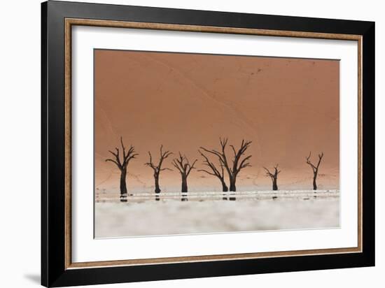 The Dead Acacia Trees of Deadvlei with a Heat Reflection-Alex Saberi-Framed Photographic Print