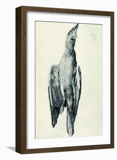 The Dead Blue Roller-Albrecht Dürer or Duerer-Framed Giclee Print