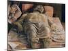 The Dead Christ, c.1480-90-Andrea Mantegna-Mounted Giclee Print