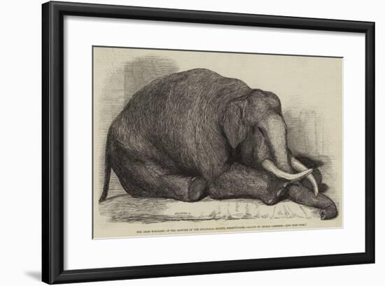 The Dead Elephant at the Gardens of the Zoological Society, Regent'S-Park-George Landseer-Framed Giclee Print