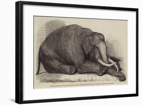 The Dead Elephant at the Gardens of the Zoological Society, Regent'S-Park-George Landseer-Framed Giclee Print